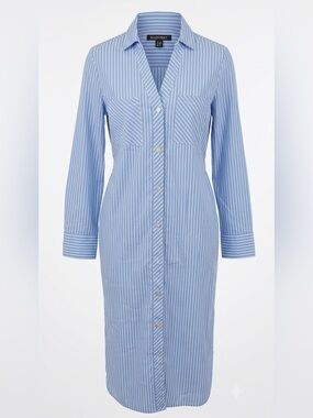 Ellen Tracy Blue & White Striped Button-Front Shirt Dress